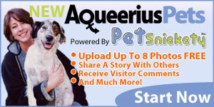 Aqueerius Pets & Petsnickety - Upload 8 Photos FREE